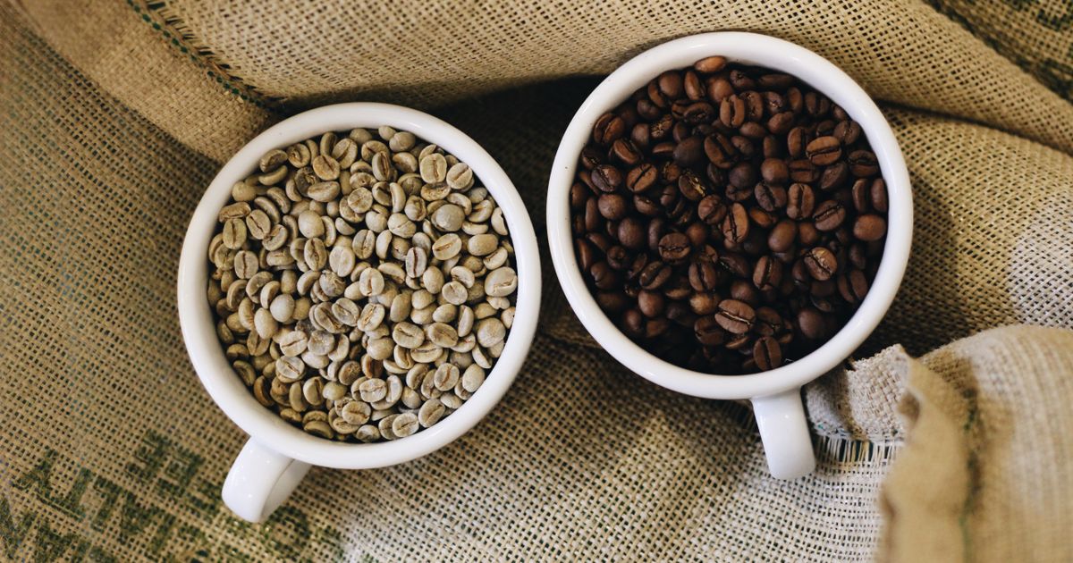Two cups of coffee beans side by side, one of raw green beans and one of roasted beans